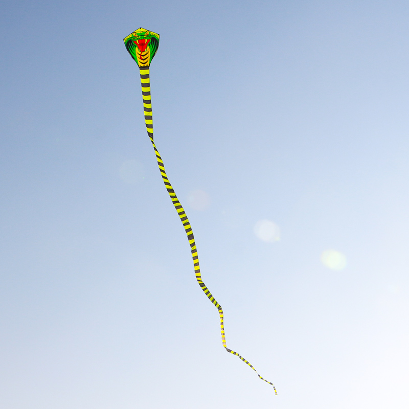 Paradise Bird 8m/15m Snake Kit - Outdoor Sport Outlet recensie en prijs
